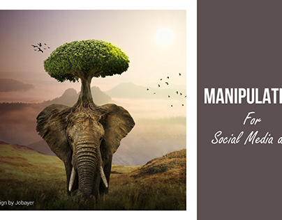 photo manipulations elephant