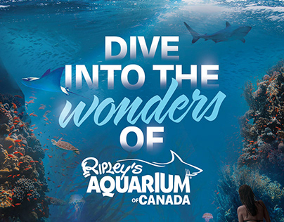 Ripley's Aquarium Campaign Poster