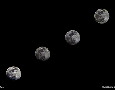 Four lunar phases