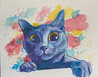 Cat portraits