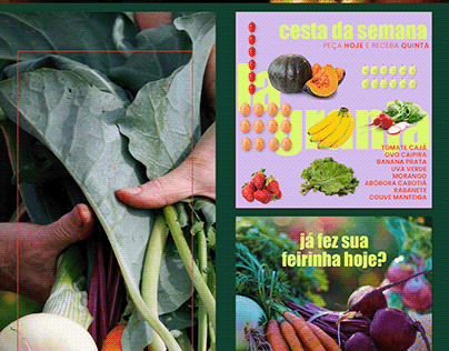 LA GRANJA - alimentos orgânicos
