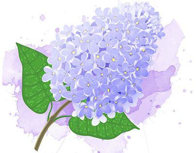 Botanical digital illustration