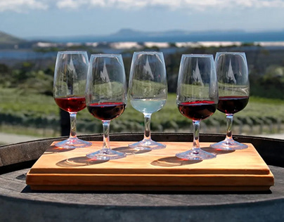 Your Guide to New Zealand Wine Tours