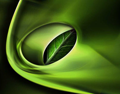 #Green slide nature