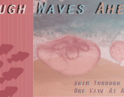 Rough Waves