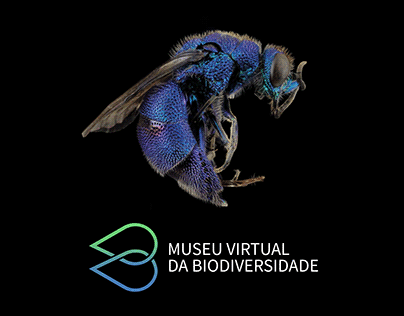 Museu Virtual da Biodiversidade - Brand Identity