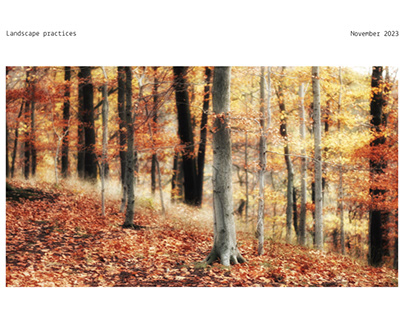 Project thumbnail - Landscape practices, November 2023
