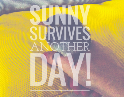 SUNNY survives another day!