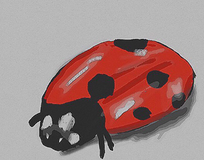 A lone ladybug