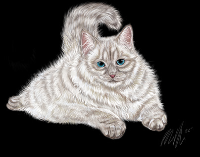 Fat Cat Portrait