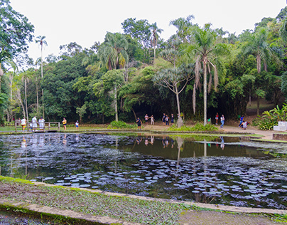 Botanical Garden of São Paulo - Brazil
