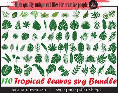 Tropical leaves svg Bundle