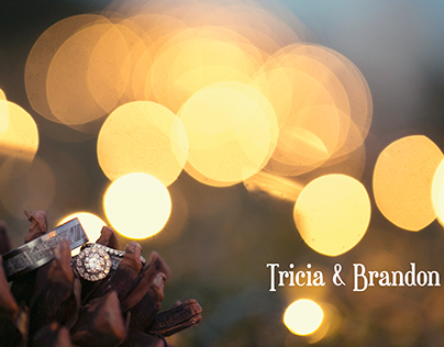 Tricia & Brandon | Wedding