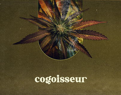 Cogoisseur - Branding Project