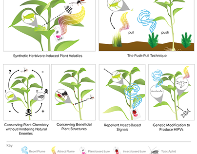 Plant Volatiles Figure for the Hermann Lab