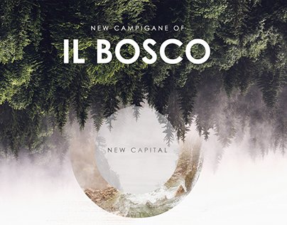 IL Bosco - New Capital