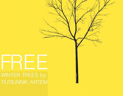 Free cut out winter trees!