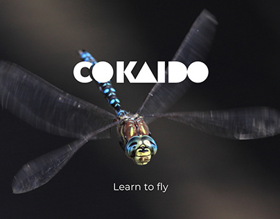 COKAIDO "Learn to fly"
