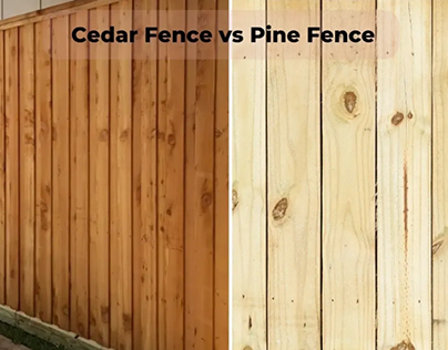 Cedar vs. Pine Fence