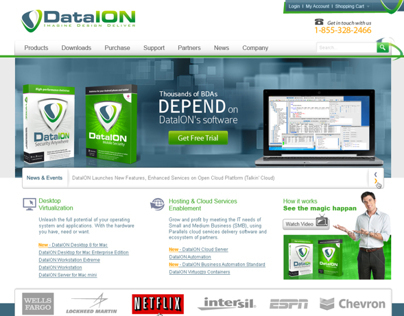 DataION Website Design