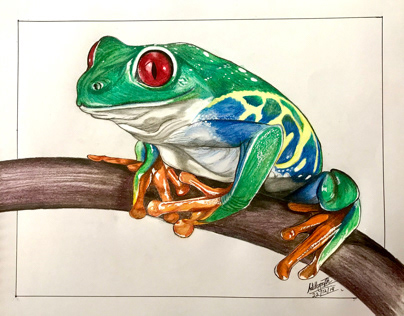 Poisonous frog