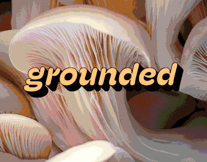 Grounded - Superfood Mushroom Coffee