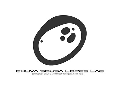 Chuva Sousa Lopes