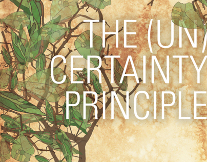 Uncertainty Principle Poster