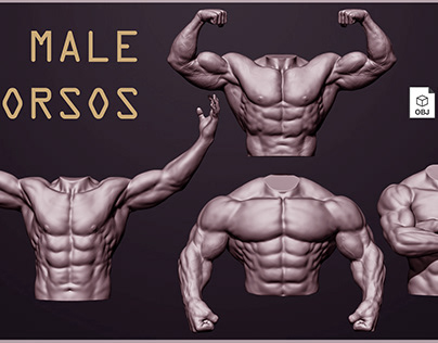 4 Male torsos