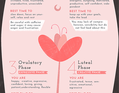 Infographic design-4 phases