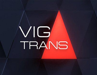 VIG Trans
