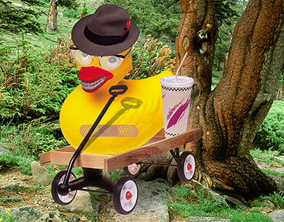 Duck in a Wagon