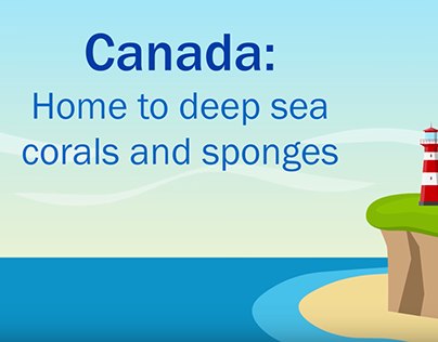 Canada: Home to deep-sea corals and sponges