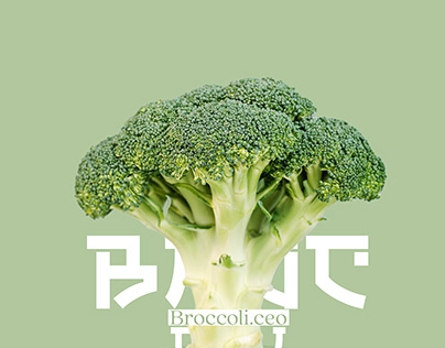 Broccoli.ceo COMPANY PROJECT