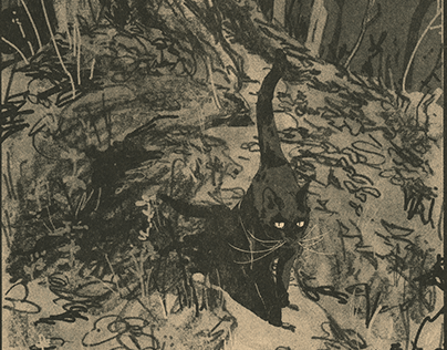 Black Cat in the Forest