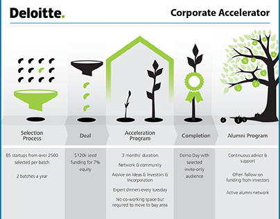 Deloitte Corporate Accelerator Program