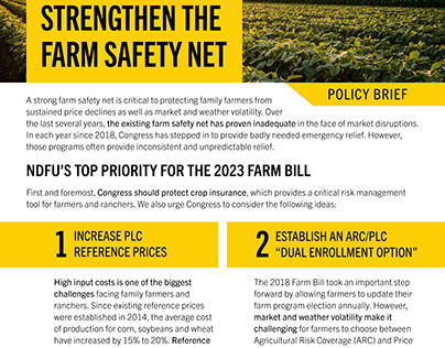 Policy Brief - Farm Safety Net