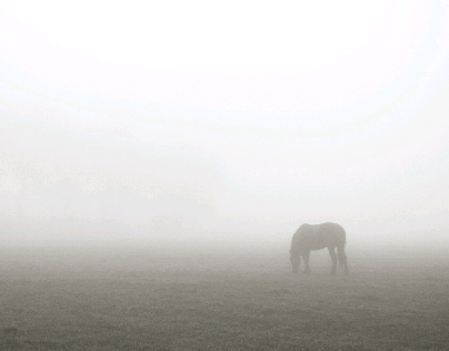 misty days