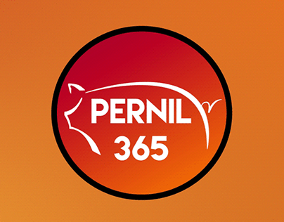 Pernil 365 Logo Intro Animation.