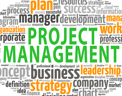 MMc501.3 Project Managing (Professional Practice)