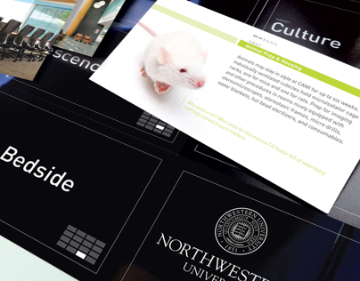 Northwestern University CAMI Brochure