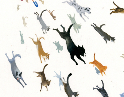 Animology: Raining Cats and Dogs