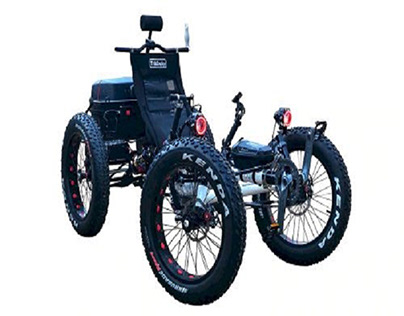 Electric Trike Bikes For Sale | Mobilityscootrike.com