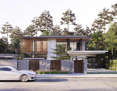 3D residence villa visalization