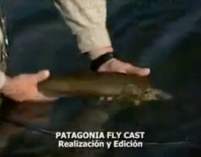 Reel PATGONIA FLY CAST