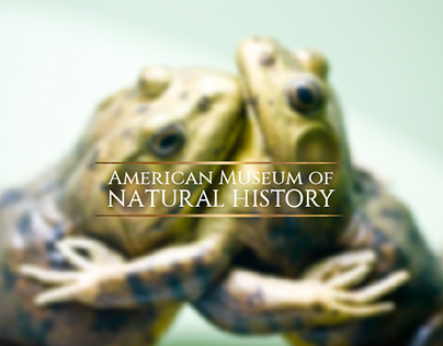 American Museum of Natural History | Logo Refresh