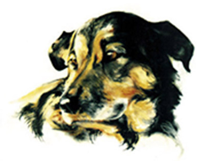 Dog illustration animal chien