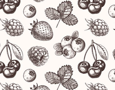 Ink hand drawn berry collection