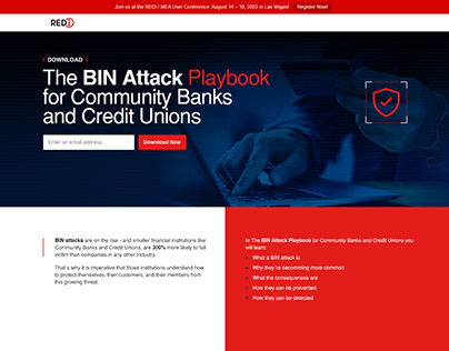 REDi - Landing Page BIN Attack Playbook