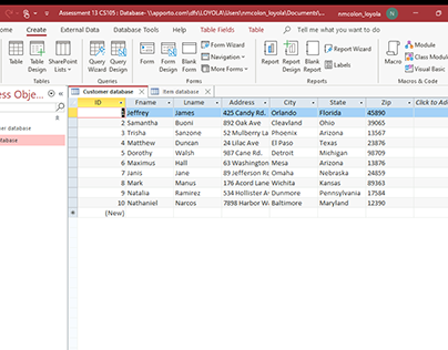 Databases with Microsoft Accesss